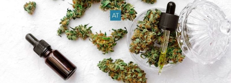 Cannabis Products May Double the Risk of Heart Attack in Young Adults