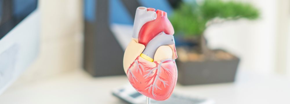 Comparing LAA Closure Devices: Amulet vs. Watchman