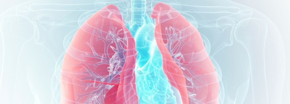 ransparent drawing of lungs with veins highlighted 